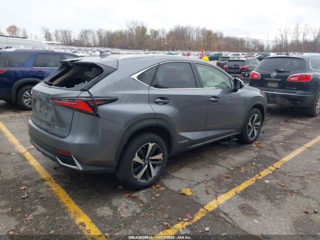 2021 LEXUS NX 300H JTJGJRDZ8M2149174 Photo 3
