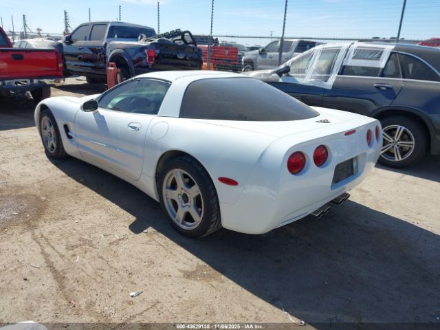 1997 CHEVROLET CORVETTE 1G1YY22G0V5106274 Photo 2