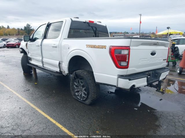 2023 FORD F-150 1FTEW1E82PFB16302 Photo 2