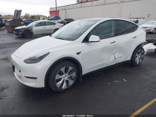 2023 TESLA MODEL Y 7SAYGDEE8PF963253 Photo 1