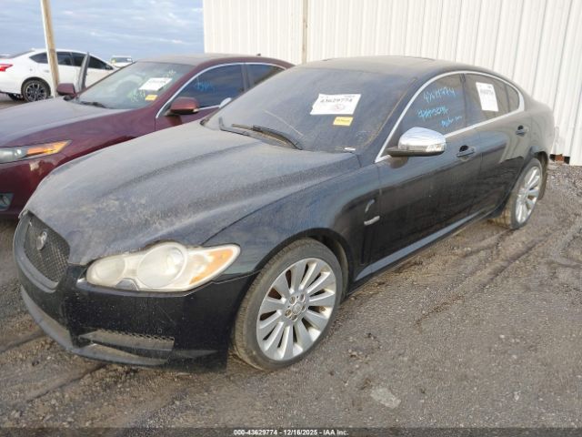 2009 JAGUAR XF SAJWA06B89HR18224 Photo 1