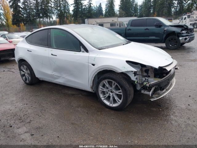 2023 TESLA MODEL Y 7SAYGDEE3PF875923 Photo 0