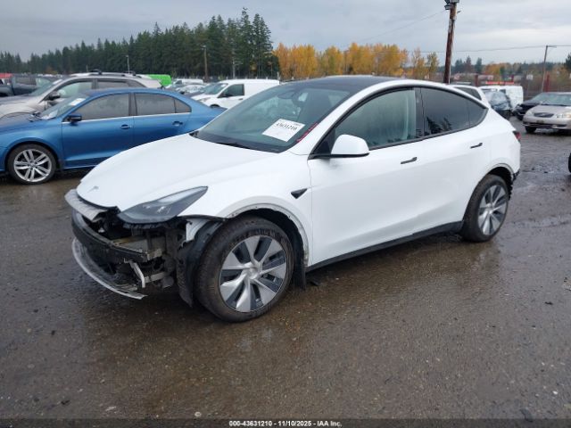 2023 TESLA MODEL Y 7SAYGDEE3PF875923 Photo 1