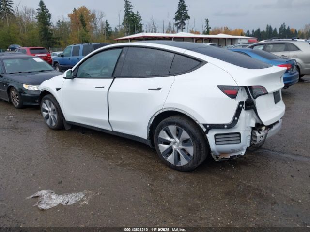 2023 TESLA MODEL Y 7SAYGDEE3PF875923 Photo 2