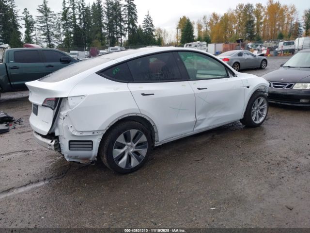 2023 TESLA MODEL Y 7SAYGDEE3PF875923 Photo 3