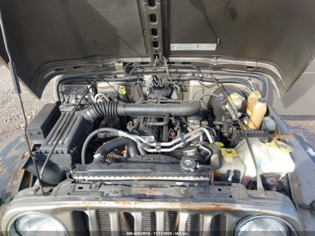 2003 JEEP WRANGLER 1J4FA39S63P307028 Photo 9