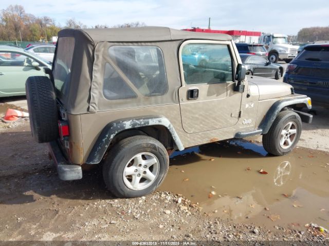 2003 JEEP WRANGLER 1J4FA39S63P307028 Photo 3