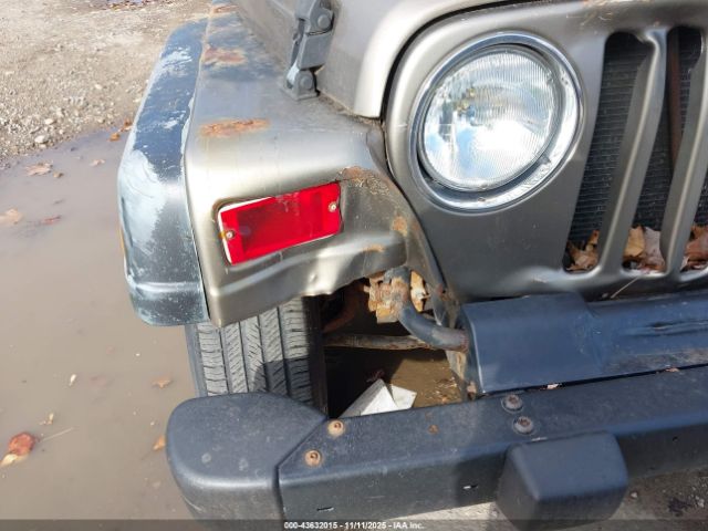 2003 JEEP WRANGLER 1J4FA39S63P307028 Photo 5
