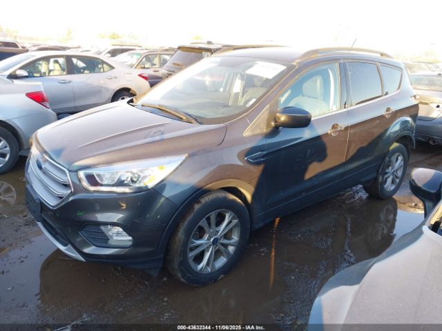 2019 FORD ESCAPE 1FMCU0HD9KUB53833 Photo 1