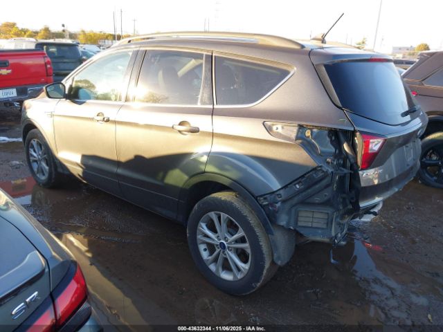 2019 FORD ESCAPE 1FMCU0HD9KUB53833 Photo 2