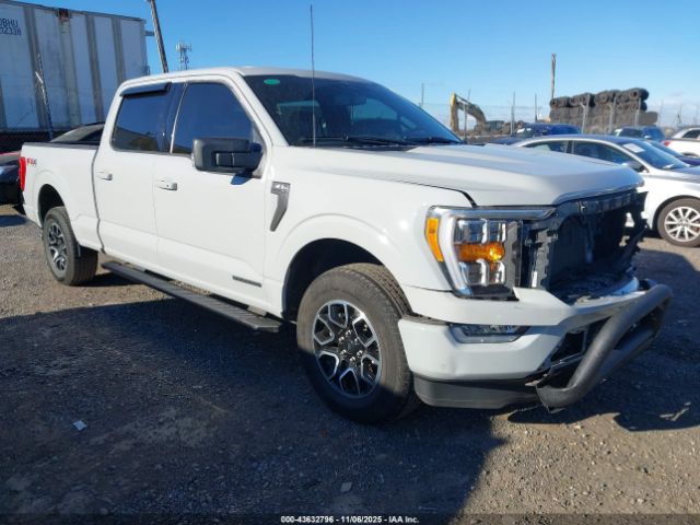 2023 FORD F-150 1FTFW1ED4PFA85006