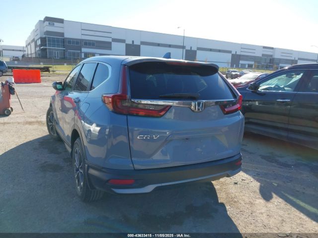 2020 HONDA CR-V 5J6RW1H58LA018122 Photo 2