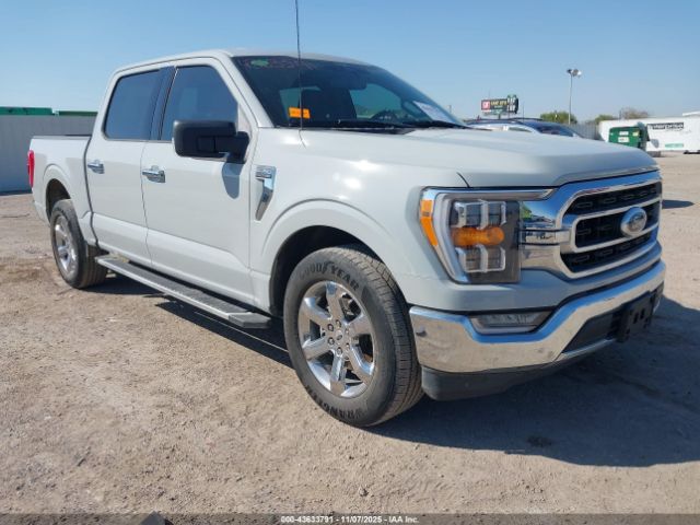 2023 FORD F-150 1FTEW1C59PFC37031