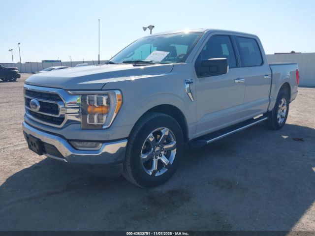 2023 FORD F-150 1FTEW1C59PFC37031 Photo 1