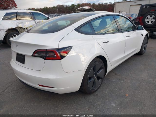 2021 TESLA MODEL 3 5YJ3E1EAXMF991592 Photo 3