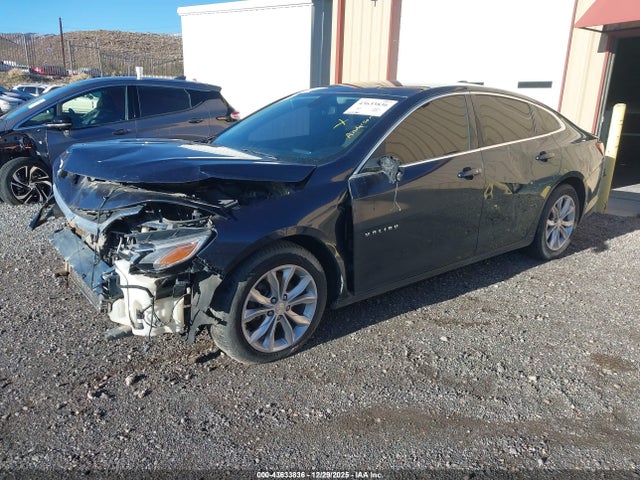 2019 CHEVROLET MALIBU 1G1ZD5ST6KF143415 Photo 1