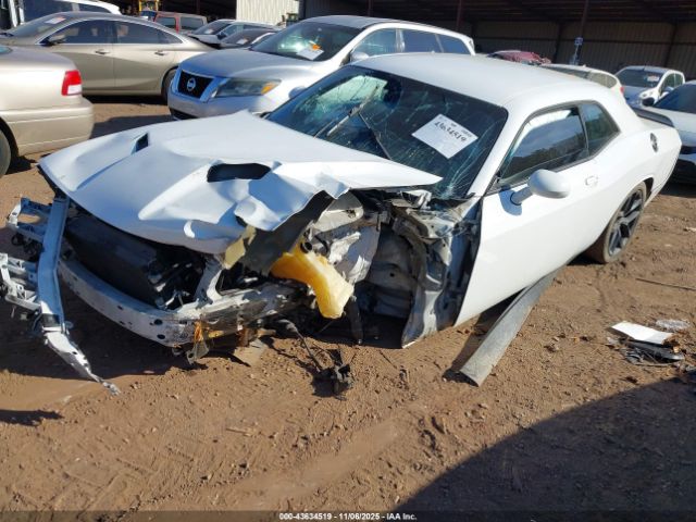 2019 DODGE CHALLENGER 2C3CDZAG9KH666584 Photo 1