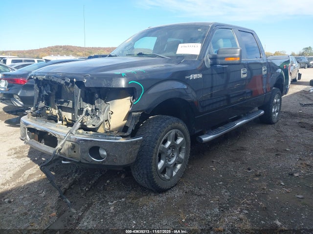 Продаж на аукціоні авто 2013 Ford F-150 Xlt, vin: 1FTFW1EF2DFB24558, номер лоту: 43635313