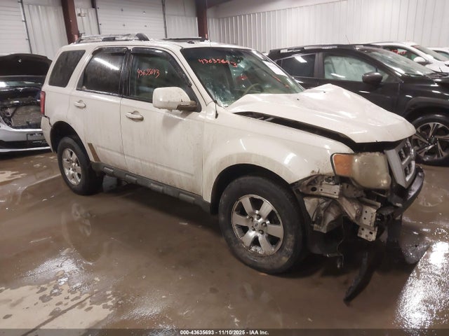 2009 FORD ESCAPE 1FMCU04789KB97232
