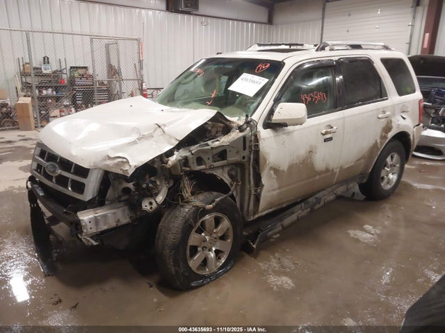 2009 FORD ESCAPE 1FMCU04789KB97232 Photo 1