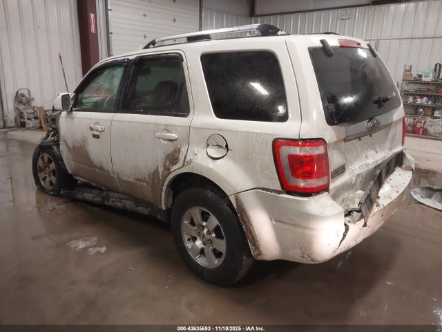 2009 FORD ESCAPE 1FMCU04789KB97232 Photo 2