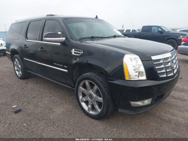 2010 CADILLAC ESCALADE ESV 1GYUKJEF0AR161034