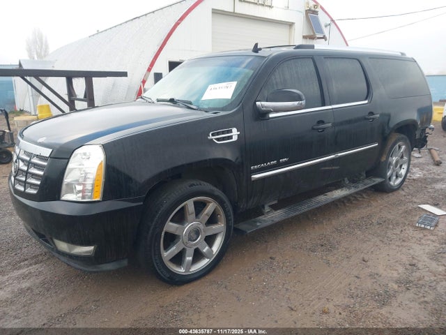2010 CADILLAC ESCALADE ESV 1GYUKJEF0AR161034 Photo 1