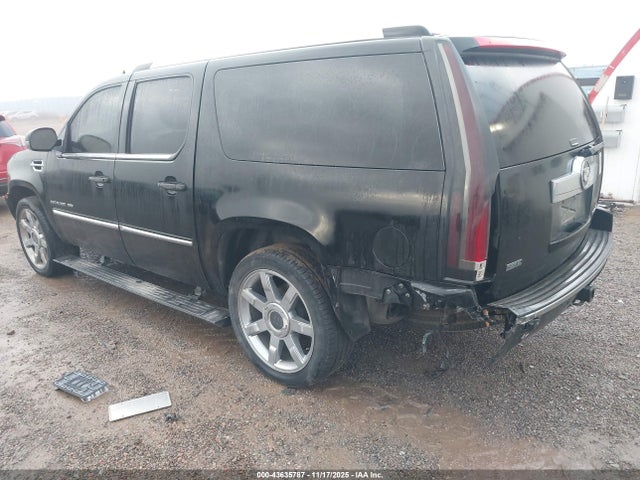 2010 CADILLAC ESCALADE ESV 1GYUKJEF0AR161034 Photo 2