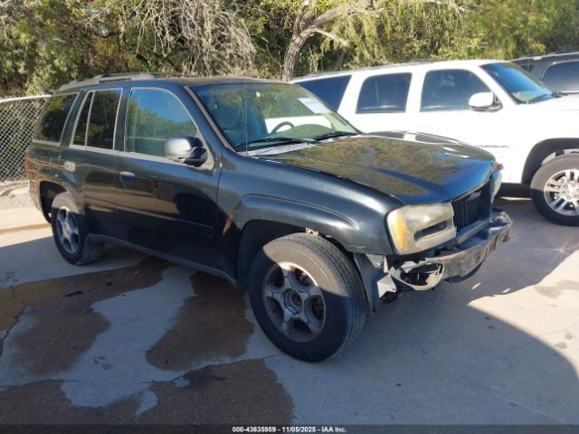 2007 CHEVROLET TRAILBLAZER 1GNDS13S672102276