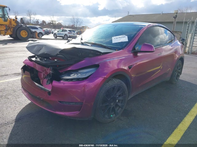 2021 TESLA MODEL Y 5YJYGDEEXMF192450 Photo 1