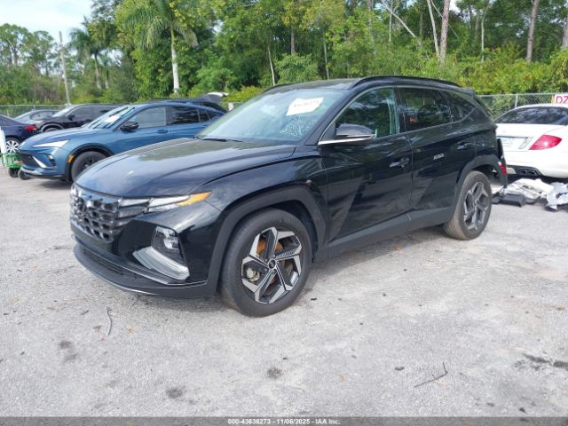 2024 HYUNDAI TUCSON 5NMJE3DE9RH302588 Photo 1