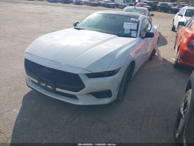 2024 FORD MUSTANG 1FA6P8TH3R5106311 Photo 1