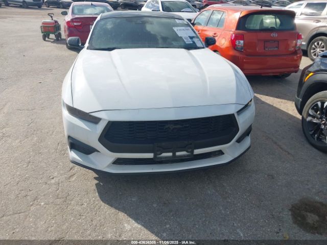 2024 FORD MUSTANG 1FA6P8TH3R5106311 Photo 5