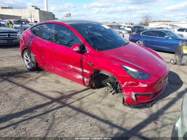 2023 TESLA MODEL Y 7SAYGDEE4PF841893 Photo 0