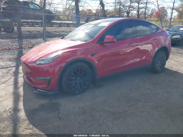 2023 TESLA MODEL Y 7SAYGDEE4PF841893 Photo 1