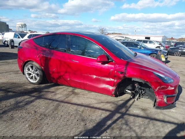 2023 TESLA MODEL Y 7SAYGDEE4PF841893 Photo 5