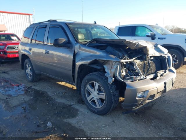 2007 CHEVROLET TRAILBLAZER 1GNDT13SX72198197