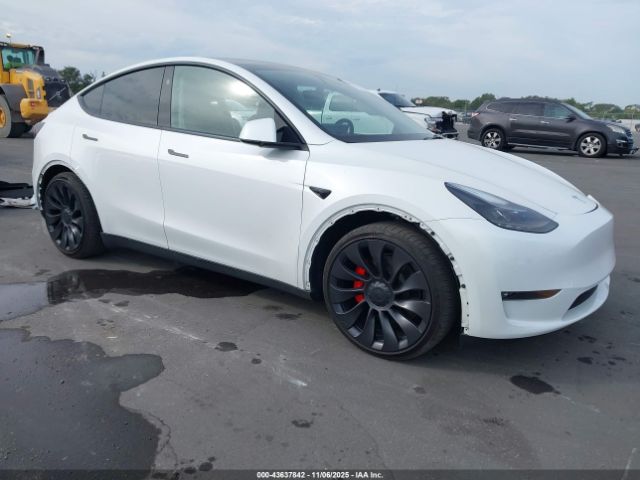 2023 TESLA MODEL Y 7SAYGDEF2PF969512