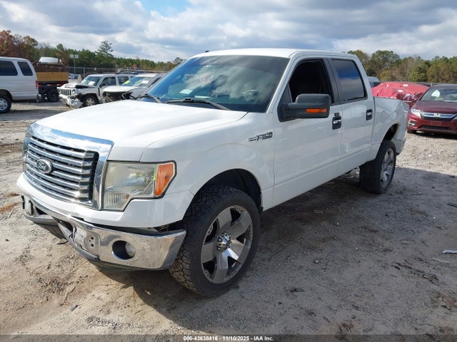 2011 FORD F-150 1FTFW1CF8BFD01162 Photo 1