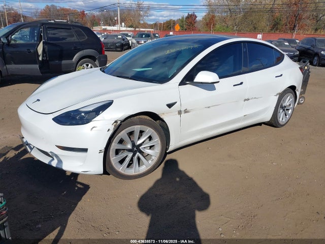 2023 TESLA MODEL 3 5YJ3E1EAXPF551442 Photo 1