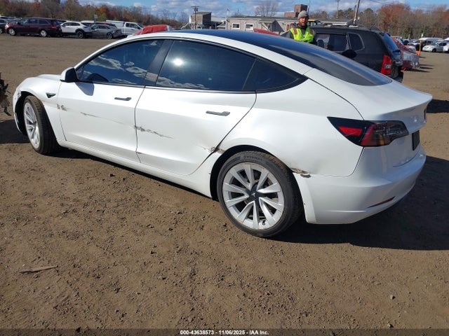 2023 TESLA MODEL 3 5YJ3E1EAXPF551442 Photo 2