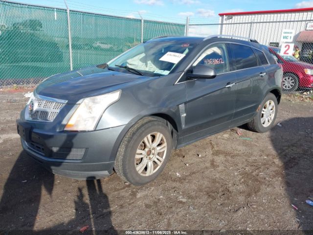 2011 CADILLAC SRX 3GYFNDEY9BS554743 Photo 1