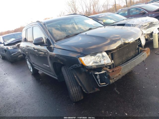 2011 JEEP COMPASS 1J4NT1FB6BD213892