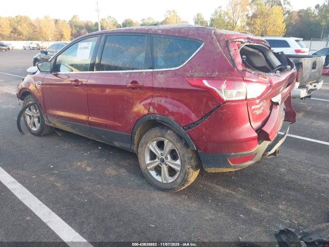 Ford ESCAPE SE 2014 1FMCU9G99EUB85378 Image 3