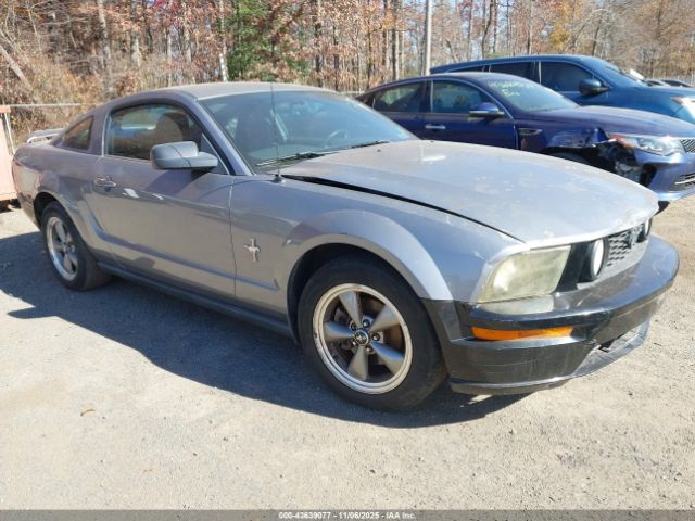 2006 FORD MUSTANG 1ZVFT80N365219653