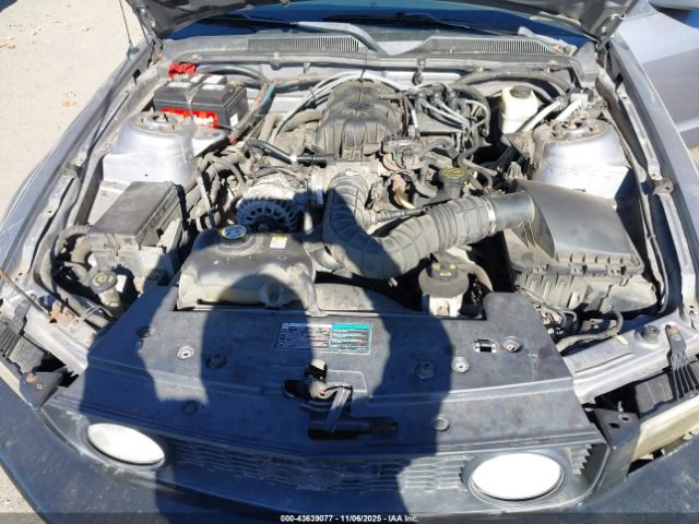 2006 FORD MUSTANG 1ZVFT80N365219653 Photo 9