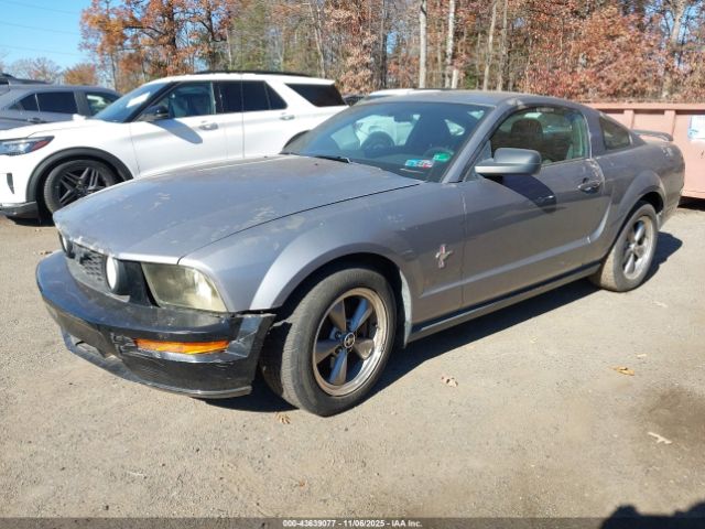2006 FORD MUSTANG 1ZVFT80N365219653 Photo 1