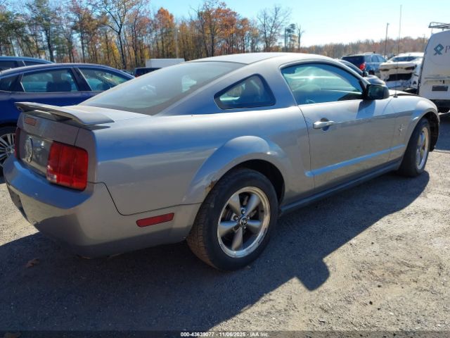 2006 FORD MUSTANG 1ZVFT80N365219653 Photo 3