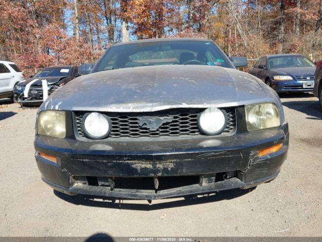 2006 FORD MUSTANG 1ZVFT80N365219653 Photo 5