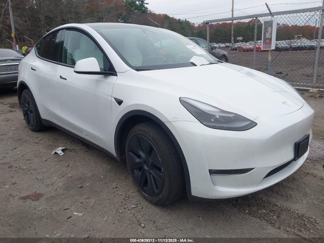 2024 TESLA MODEL Y 7SAYGDEE2RF160988 Photo 0